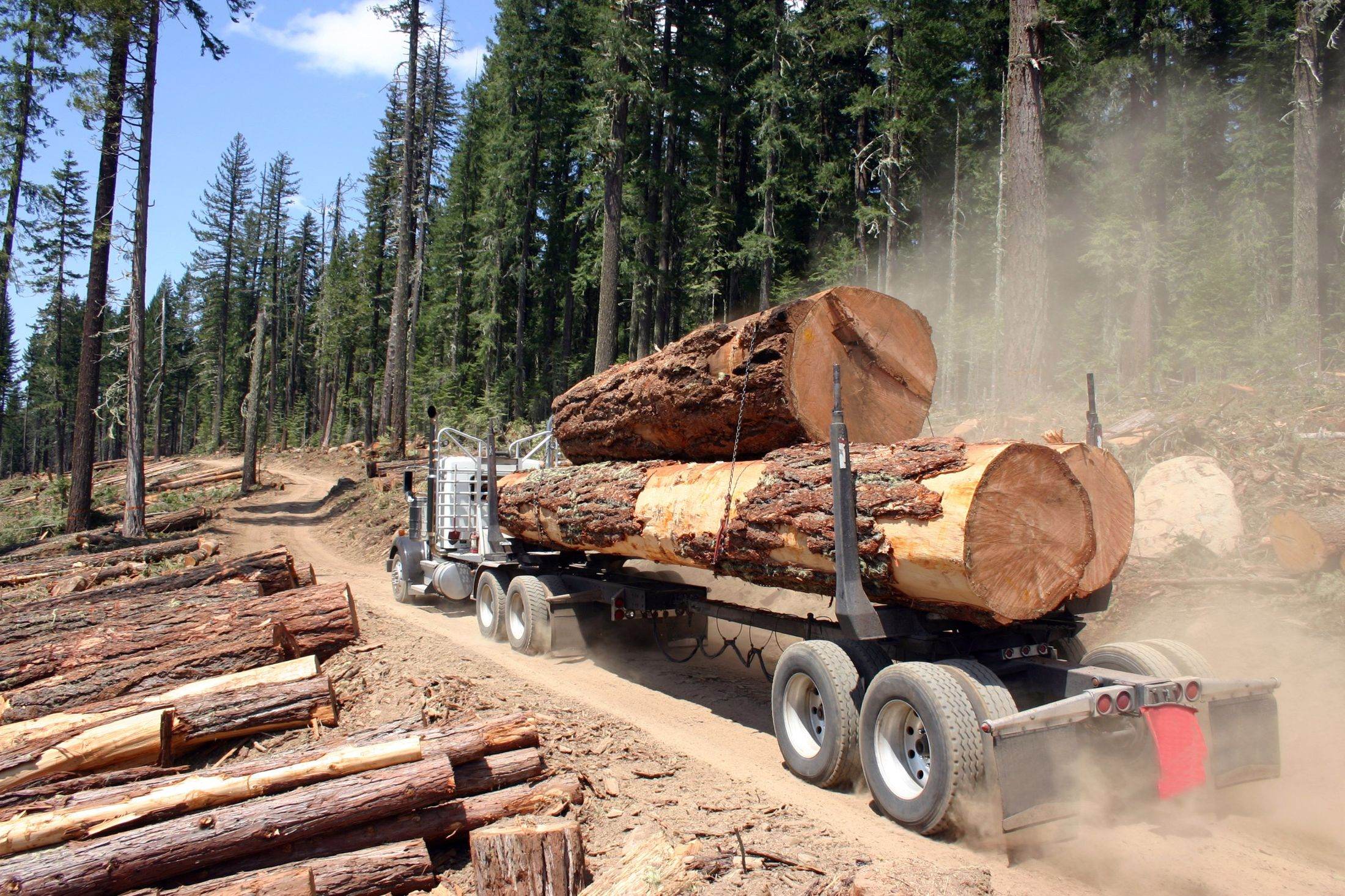 Logging truck hauling large logs out of a cleared forest